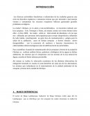 Ensayo de Economía Ambiental