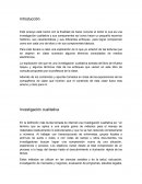 Enfoques metodologicos. Investigación cualitativa