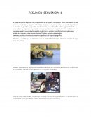 RESUMEN SECUENCIA 1