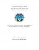 Aplicación de técnicas grupales en el proceso formativo de los estudiantes de la carrera de pedagogía