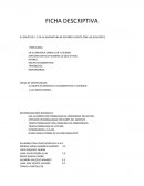 Ficha descriptiva de asignatura de español