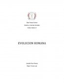 Historia y Ciencias Sociales. Evolución humana