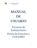 Técnicas de Estimaciones Punto de Función y COCOMO