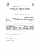 Autorización de representante para realizar pasantía