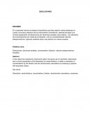 Infome sobre las Disoluciones