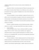 COMERCIO AMBULANTE EN LAS PLAYAS DE LA ZONA TRADICIONAL DE ACAPULCO