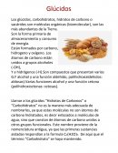 Los glúcidos, carbohidratos, hidratos de carbono
