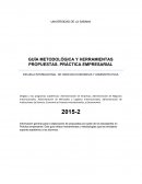 GUÍA METODOLÓGICA Y HERRAMIENTAS PROPUESTAS. PRÁCTICA EMPRESARIAL