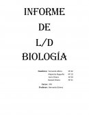 Análisis e interpretación de evidencias