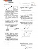 Vectores ¿QUÉ ES UN VECTOR?