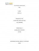 CULTIVOS DE CLIMA CALIDO