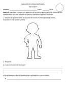 ENSAYO SOBRE LA EVALUACIÓN DE CIENCIAS NATURALES