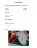 Ángulos del prisma CUESTIONES Y CONCLUSIONES