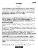 La memoria. Procesos de la memoria