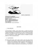 FUNES EL MEMORIOSO- Seminario de investigación