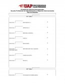 PLAN DE ESTUDIOS ADMINISTRACION Y NEGOCIOS INTERNACIONALES