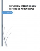 REFLEXION CRÍTICA DE LOS ESTILOS DE APRENDIZAJE