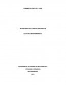 LA INMORTALIDAD DEL ALMA