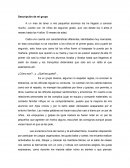 Descripción de mi grupo