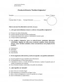 Ensayo sobre Prueba pueblos originarios