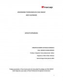 Tecnología de Aplicación Asfalto Espumado