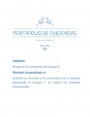 PORTAFOLIO DE EVIDENCIAS Programación Básica