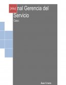 Caso mercadologico referente al parque norte de medellín