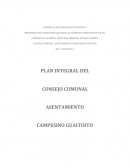 LA DESCRIPCION DE LA COMUNIDAD O DEL CONSEJO COMUNAL.