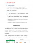 Analisis de mercado en Yanacancha