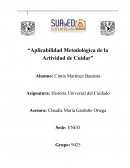 Aplicabilidad metodológica de la actividad de cuidar