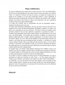 Mujer multifacética