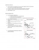 Competencia,empresa monopolísta