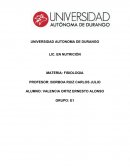 Hormonas que produce la Adenohipófisis