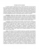 El Clúster de la Flor en Holanda