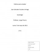 Política para Amador - Los estatutos