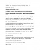 Investigación preliminar del área de prácticas; comunidad e institución