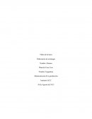 Administración de la producción - Elaboracion de estrategia