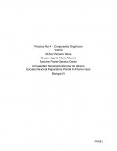 Practica No. 4 - Compuestos Orgánicos