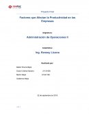 Factores que Afectan la Productividad en las Empresas