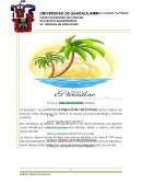 Vinos y Licores La Palma