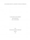 FASE ANALISIS DEL PROYECTO - DIAGNOSTICO Y SISTEMA DE INFORMACION