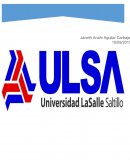 The new experts (inglés)