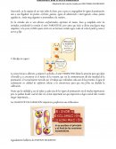 Congreso de los signos de puntuacion