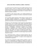 ¿Revolución verde o desarrollo químico - industrial?