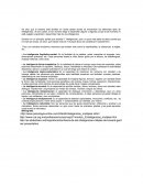 El cerebro y la inteligencia multiple