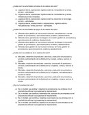 Panorama competitivo y la cadena del valor cuestionario