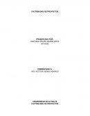 Factibilidad de proyectos Pert/Costo