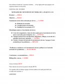 Informe de metrados del movimiento de tierra