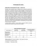 PROBLEMA DE PROGRAMACIÓN LINEAL A RESOLVER