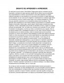 ENSAYO DE APRENDER A APRENDER.
